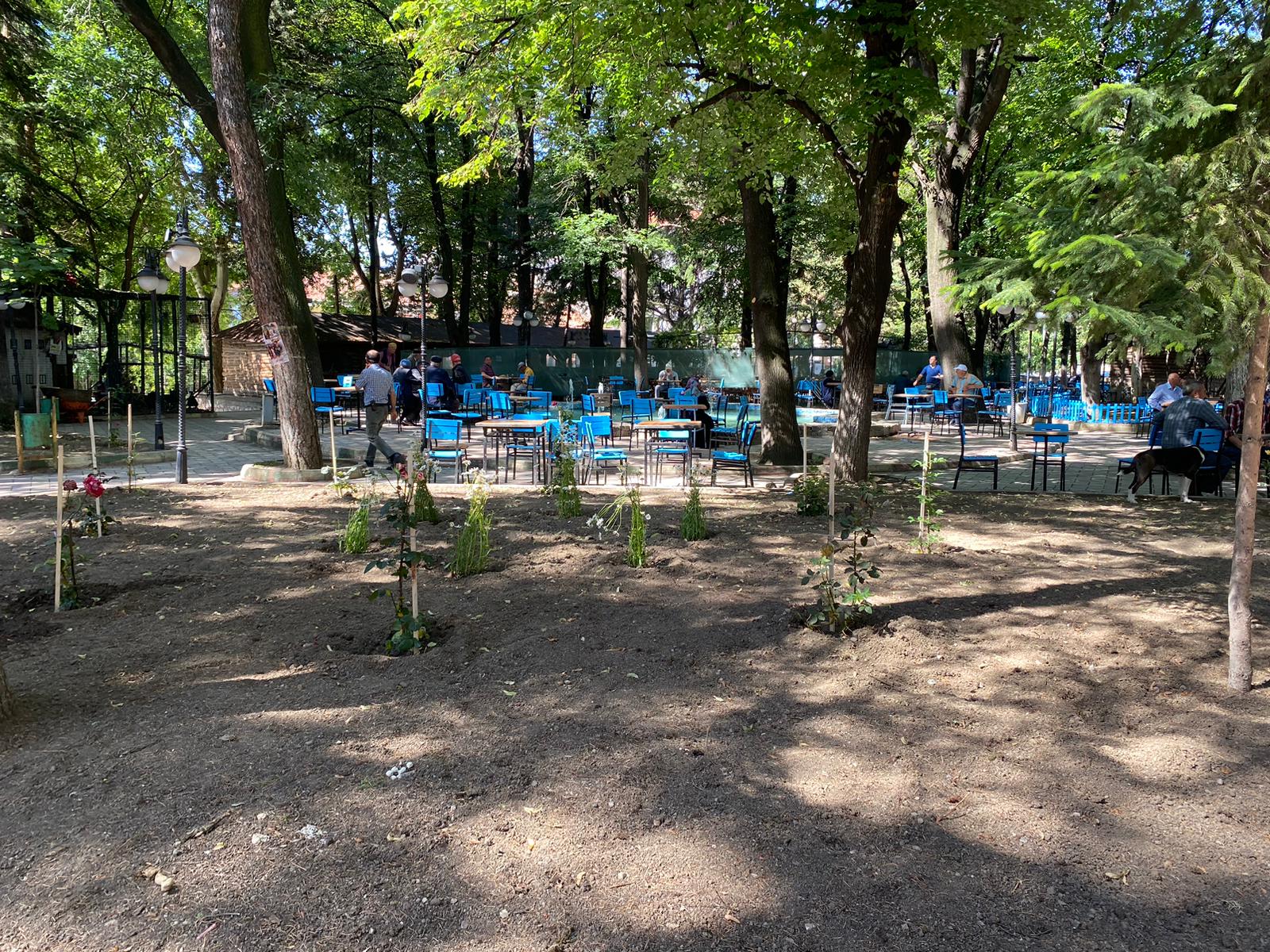 Şehir Parkımızda Çalışmalar Hız Kesmeden Devam Ediyor post thumbnail image